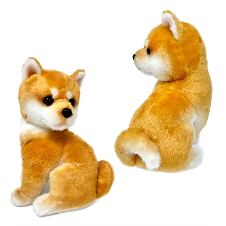 こっちおいで！ しば犬 ぬいぐるみ 22cm 犬 いぬ わんちゃん わんこ