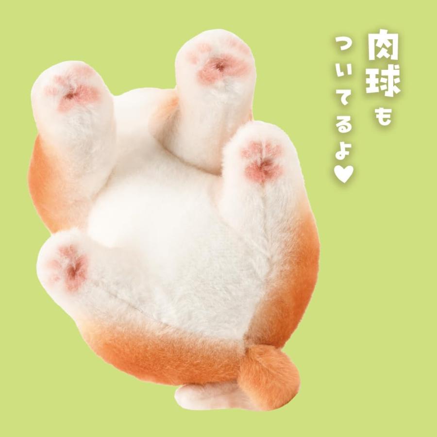 こっちおいで！ しば犬 ぬいぐるみ 22cm 犬 いぬ わんちゃん わんこ