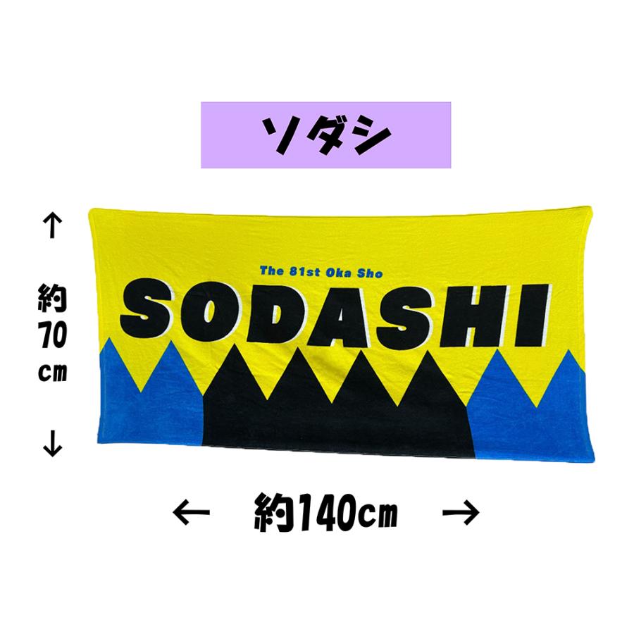 サラブレッドコレクション 大判バスタオル ソダシ ドウデュース 約