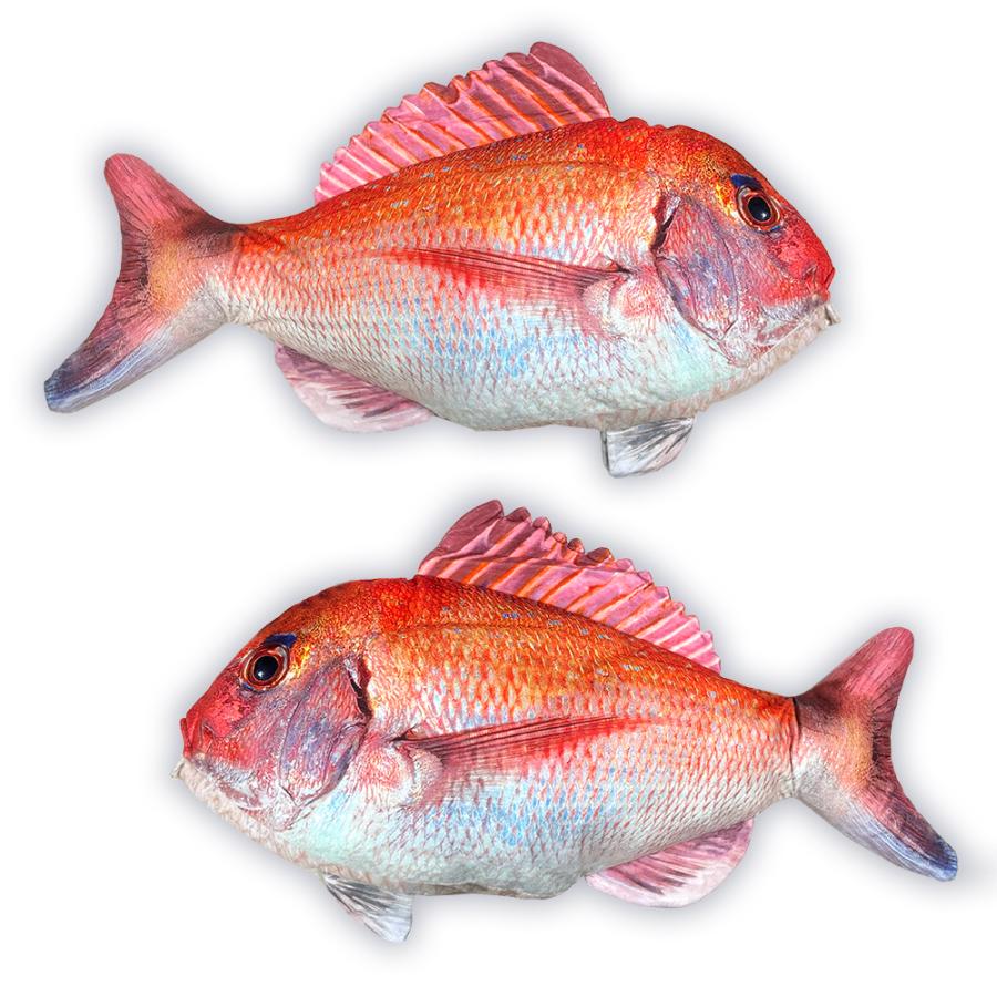 俺のハチマル！ 超特大 実物大 リアル 真鯛 BIG ぬいぐるみ クッション