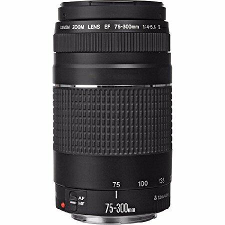 ◇ みとさ ◇Canon純正 75-300mm 超望遠レンズ◇ ◇大迫力超望遠!!◇Canon純正 75-300mm III型 超望遠レンズ