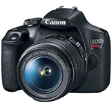 Canon EOS Rebel T7 DSLR Camera 24.1MP with EF-S 18-55mm + EF 75-300mm Lens A-Cell Accessory Bundle Includes: 2 Pack SanDisk 64GB Memory Card B並行輸入の画像