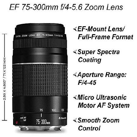 Canon EOS Rebel T7 DSLR Camera 24.1MP with EF-S 18-55mm + EF 75-300mm Lens A-Cell Accessory Bundle Includes: 2 Pack SanDisk 64GB Memory Card B並行輸入の画像