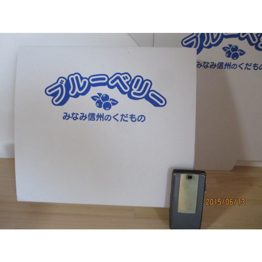 予約販売  【ブルーベリー生果実】 500g×2パック　 | 