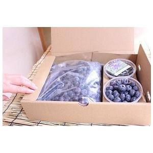 予約販売  【ブルーベリー生果実】 500g×2パック　 |  | 02
