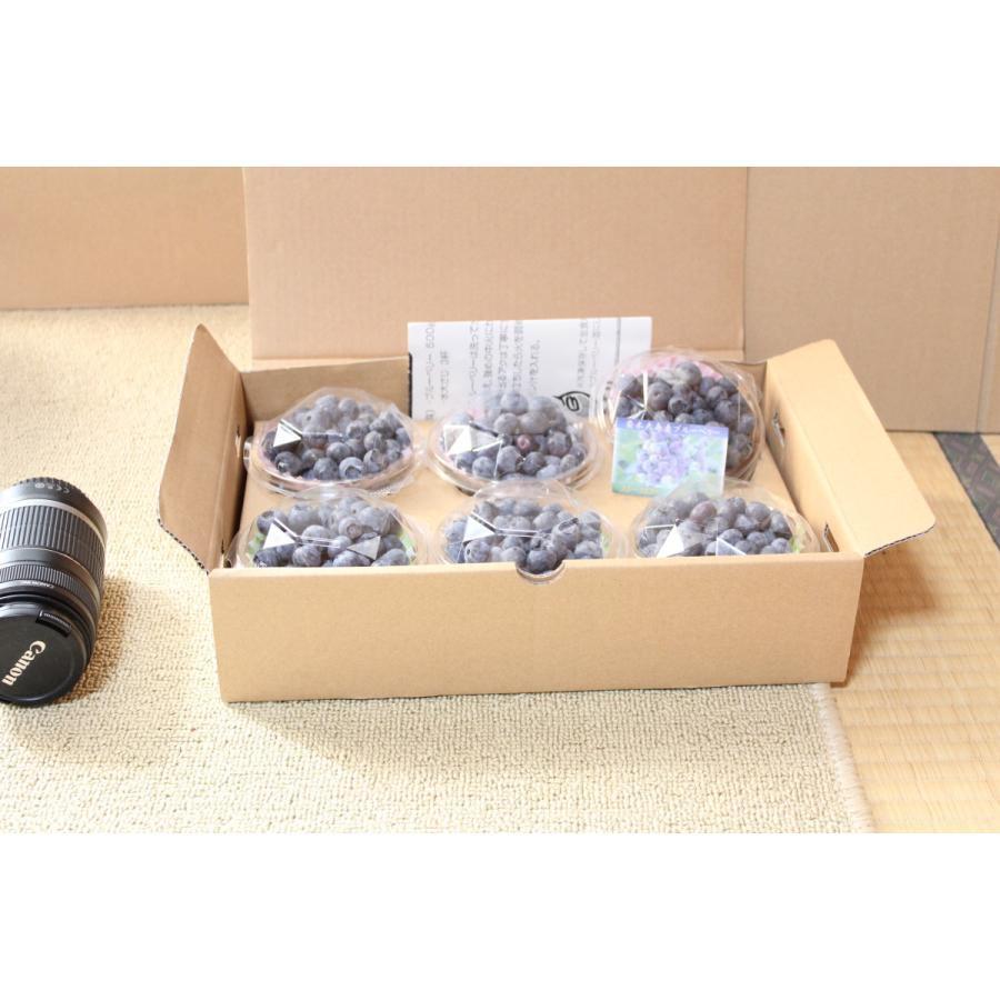予約販売  【ブルーベリー生果実】 500g×2パック　 |  | 03