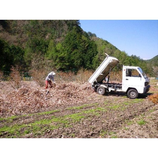 南信州産、冷凍ブルーベリー 加工用1等級品１ｋｇ |  | 02