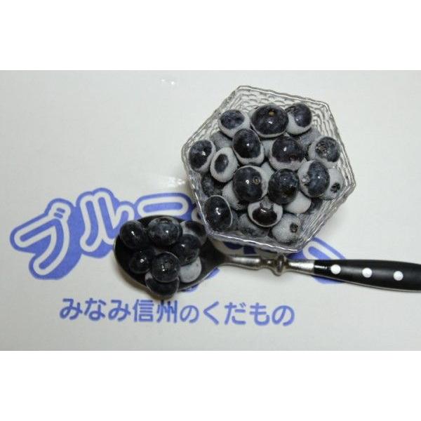 南信州産、冷凍ブルーベリー 加工用1等級品１ｋｇ |  | 05