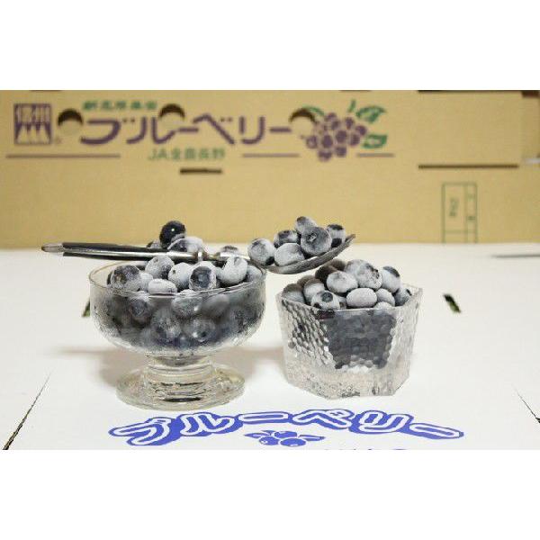 ブルーベリー 冷凍 大中小のミックス品 生食用  １キロ |  | 01