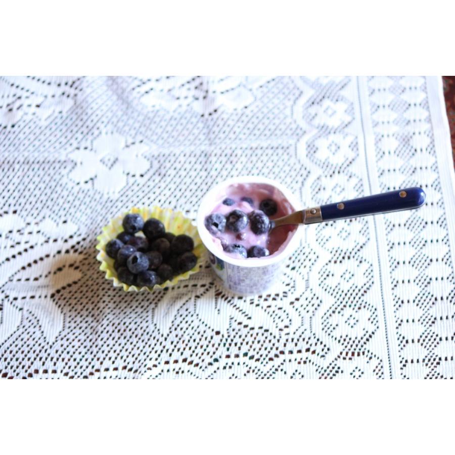 冷凍ブルーベリー Mサイズ 農園 急速冷凍品 1ｋｇ |  | 02