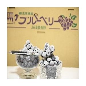 冷凍ブルーベリー Mサイズ 農園 急速冷凍品 1ｋｇ |  | 04