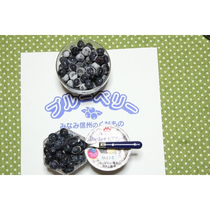 南信州産 冷凍ブルーベリー　ハーバート　900g | 