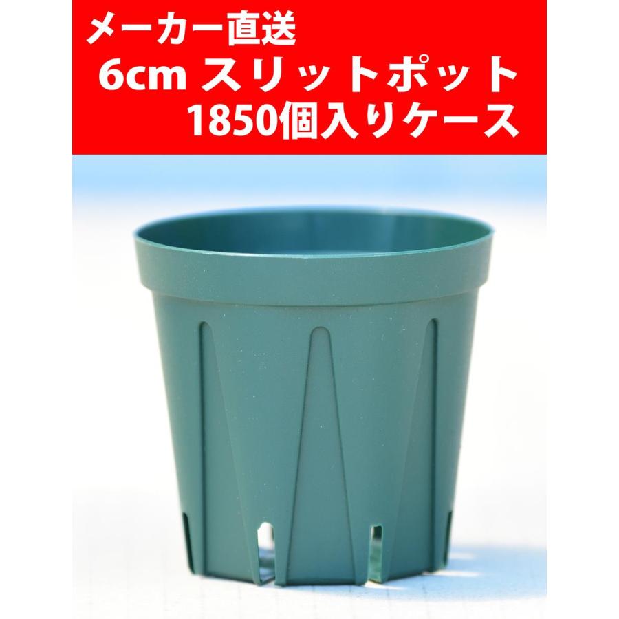 最終値 新品 宮本果林 裂罅 れっか 正規品 タグ付 作家鉢 笠間焼 レア