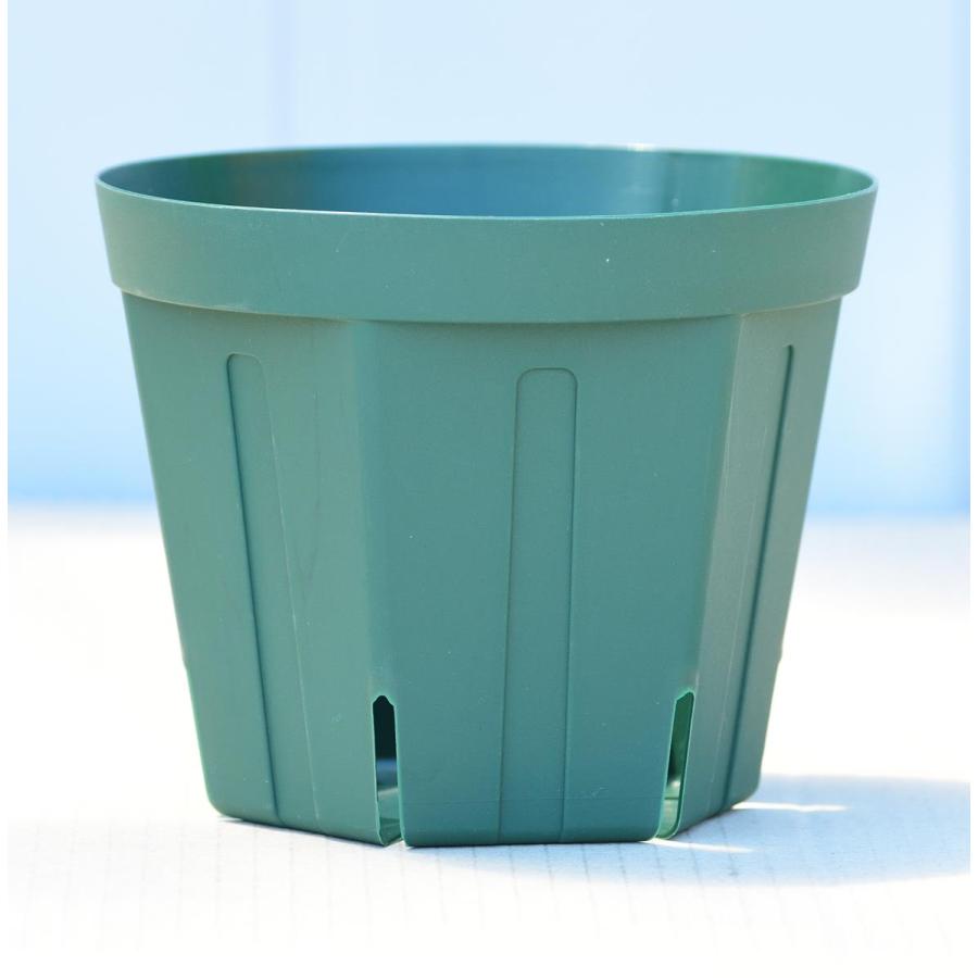 【メーカー直送】スリットポット 13.5cm CSM-135 グリーン 200個入りケースの画像
