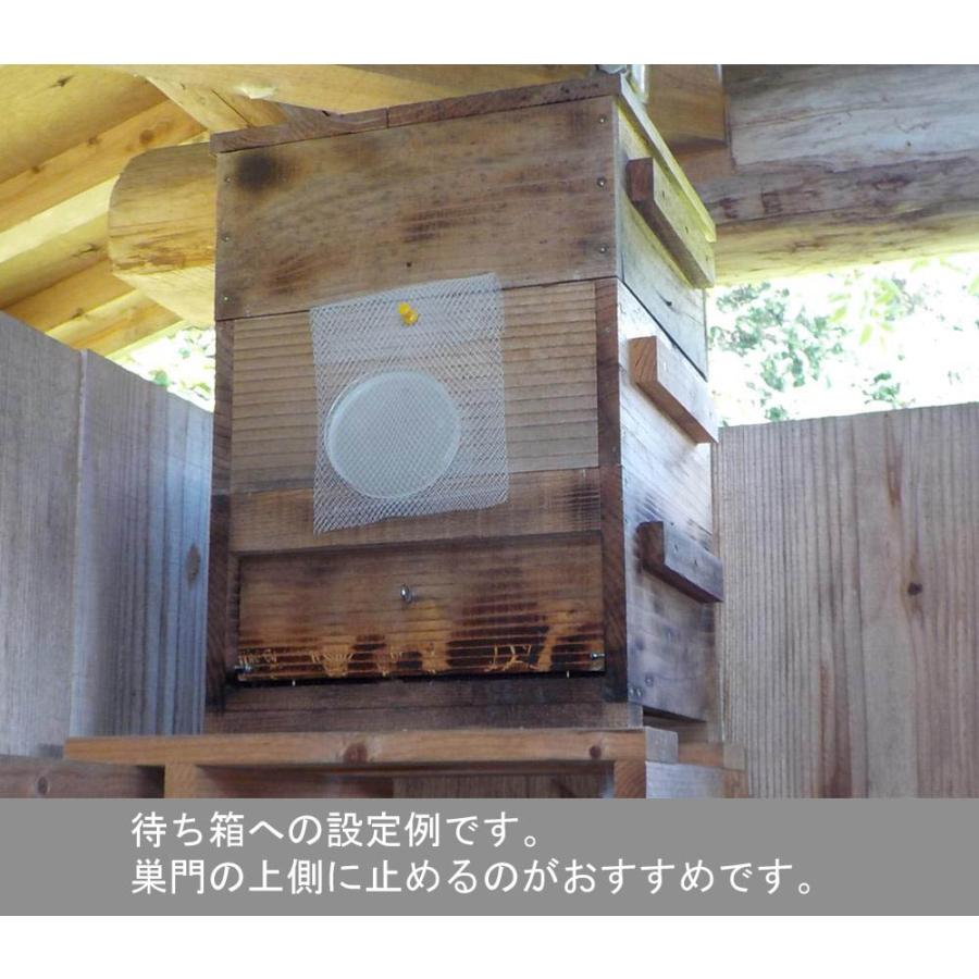 キンリョウヘンの人工合成剤 日本ミツバチ ルアー 10個セット 待ち箱 