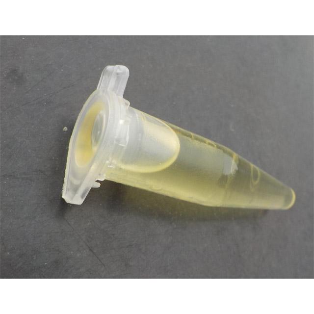 西洋ミツバチ分蜂群の誘引剤 西洋ミツバチ用ルアー 2個セット