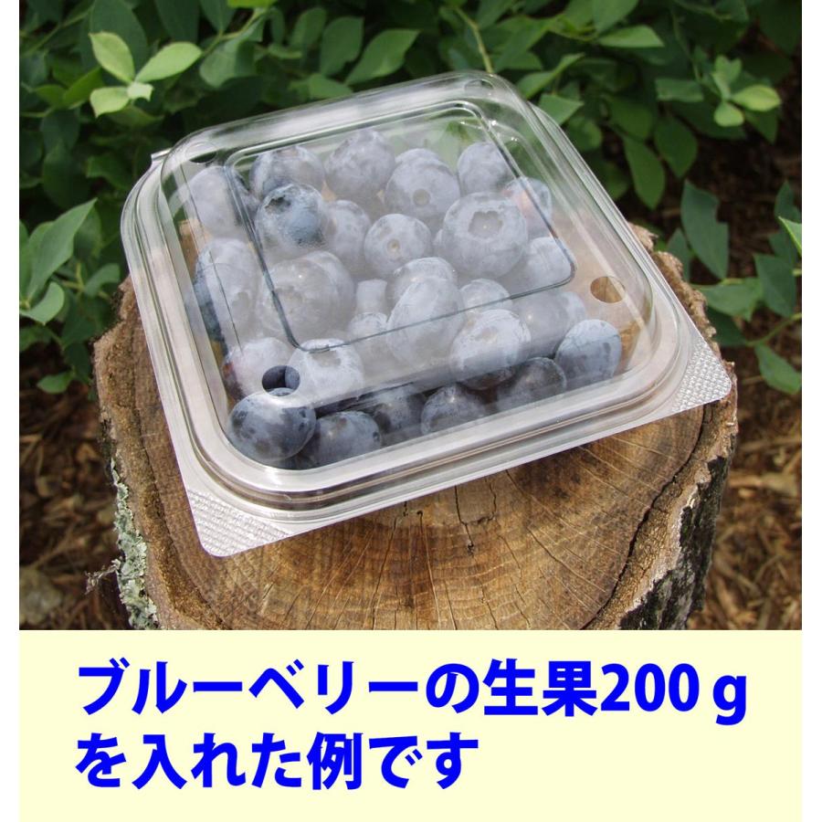 ブルーベリー200g用生果パック(角型) 50枚セット : BlueBerryHouse
