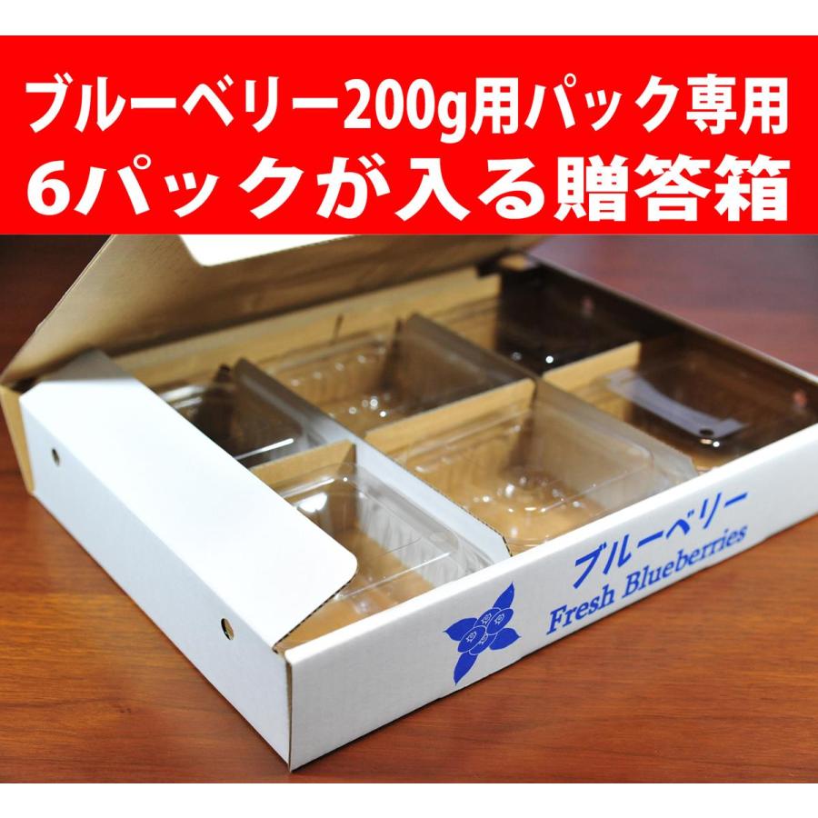 ブルーベリー 200g 用パック 6個が入る専用贈答箱 25入りケース
