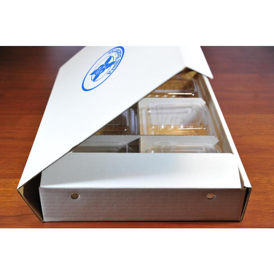 ブルーベリー 200g 用パック 6個が入る専用贈答箱 25入りケース