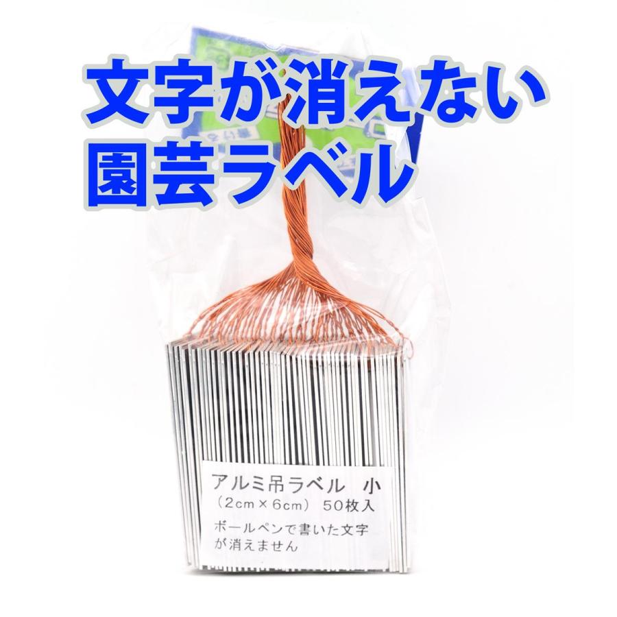 文字が消えない アルミ園芸ラベル(小) 50枚入 : BlueBerryHouse - 通販
