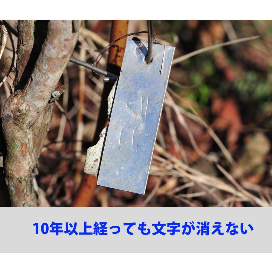 文字が消えない アルミ園芸ラベル(小) 50枚入 : BlueBerryHouse - 通販