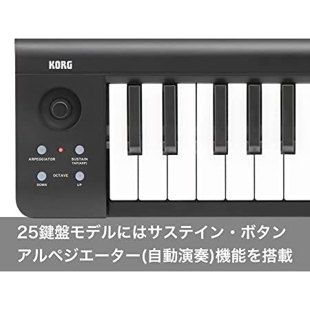 KORG（コルグ） 定番 USB MIDIキーボード microKEY-25 音楽制作 DTM 省