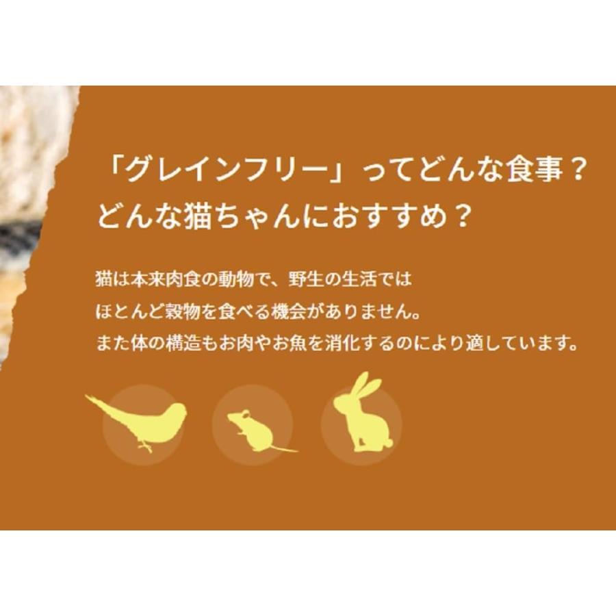 ピュリナワン キャット ドライ グレインフリー1歳以上 チキン 3.6kg