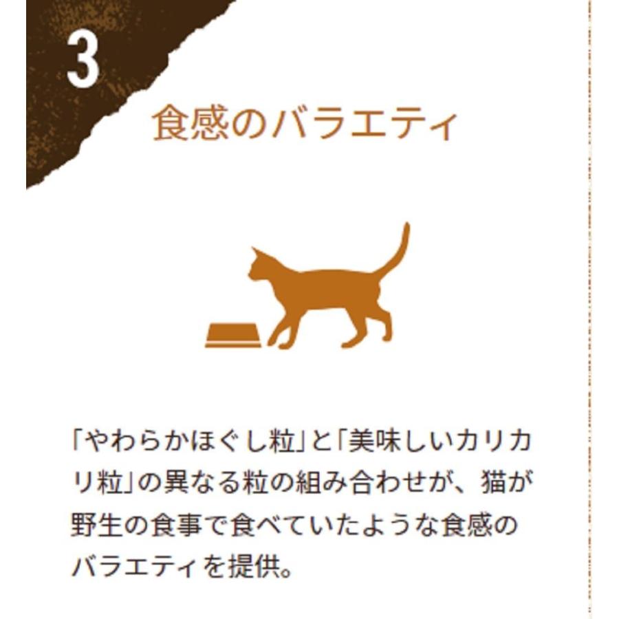 ピュリナワン キャット ドライ グレインフリー1歳以上 白身魚 3.6kg