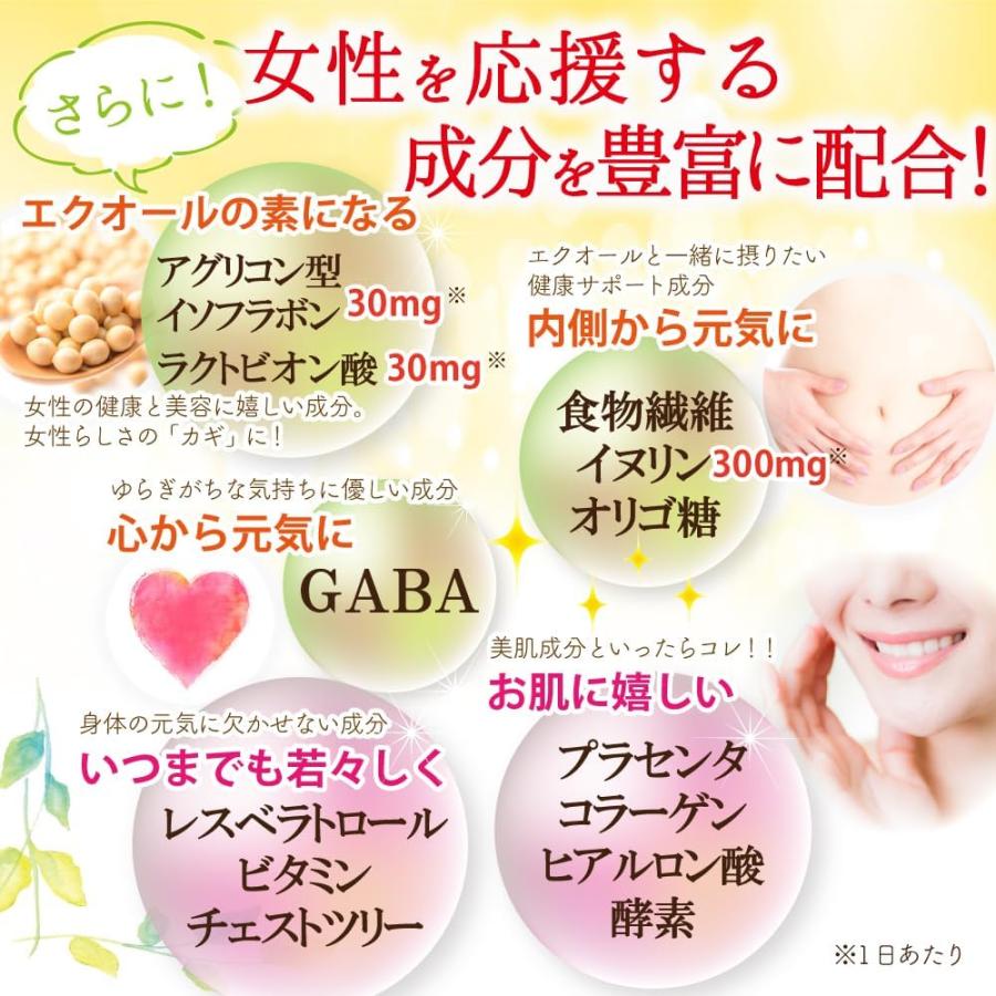 エクオールプラス和漢 エクオール イソフラボン NMN 高麗人参 GABA