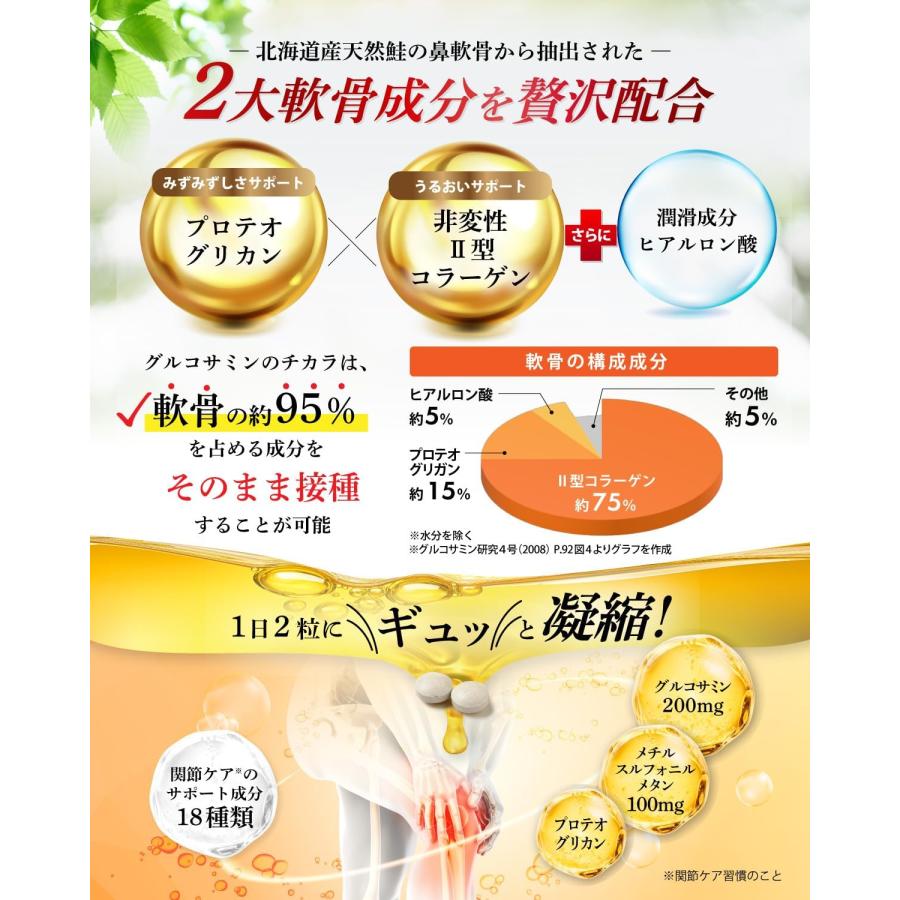 ひざ・関節 3大成分贅沢配合】グルコサミンのチカラ プロテオグリカン
