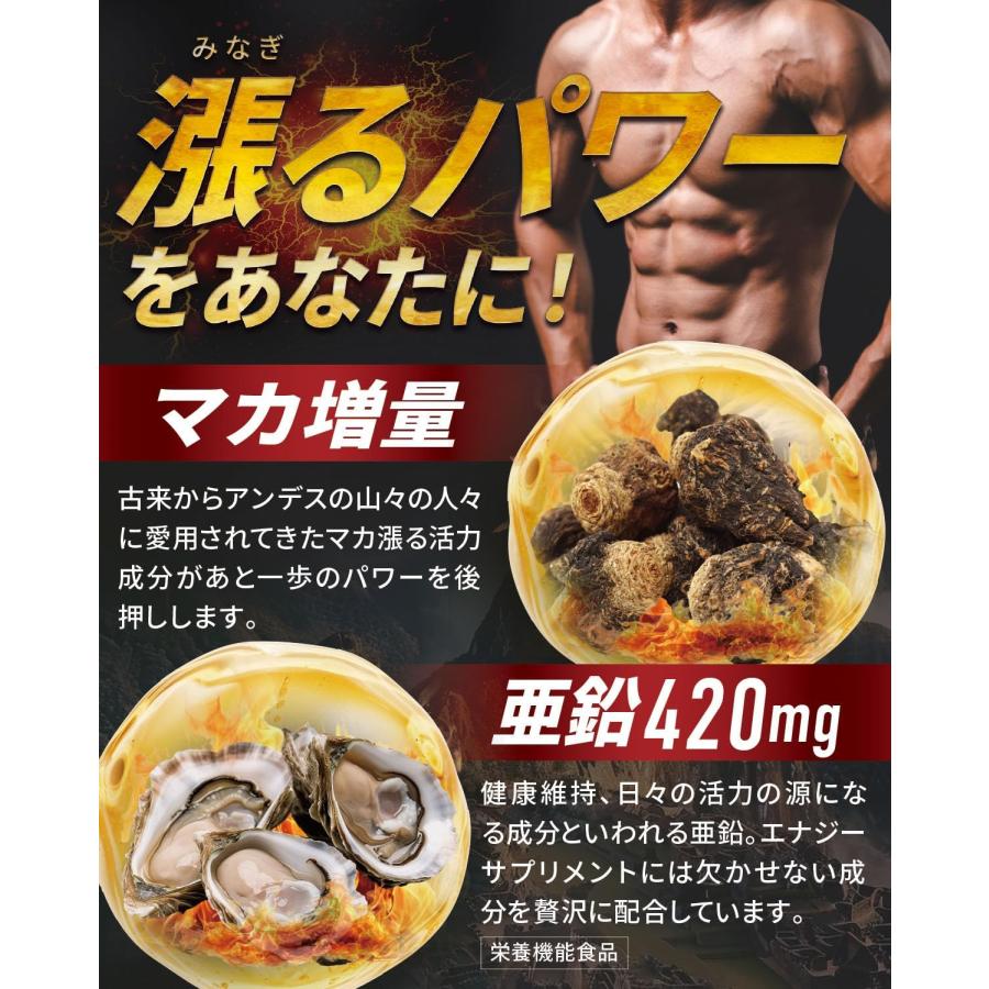 BLAZE ENERGY マカ チャージ 30日分 亜鉛 シトルリン アルギニン トン