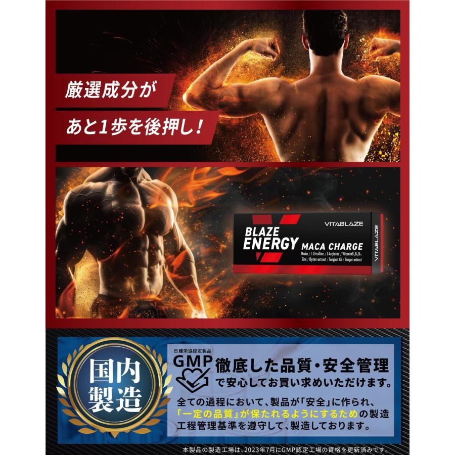 BLAZE ENERGY マカ チャージ 30日分 亜鉛 シトルリン アルギニン トン