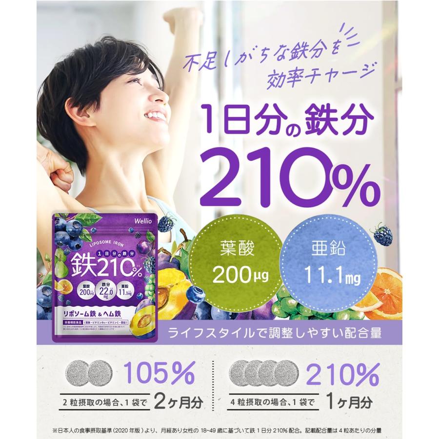 高吸収×持続型のW 鉄分 1日分の鉄分210% サプリメント 葉酸 亜鉛