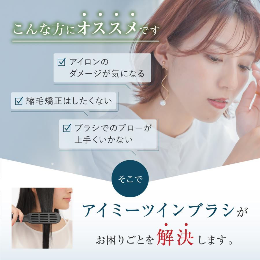 iMii ツインブラシ ストレートブラシ くせ毛 矯正 縮毛 美容師