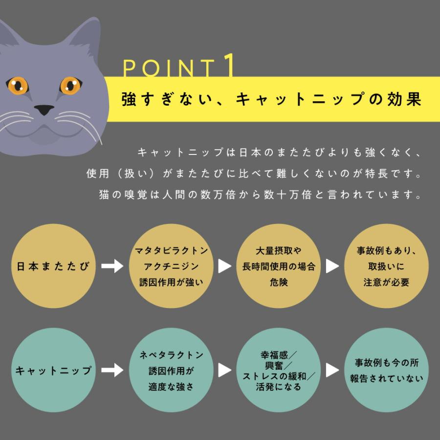 ＆SH SEIYO MATATABI キャットニップ スプレー 100ml ( 西洋またたび