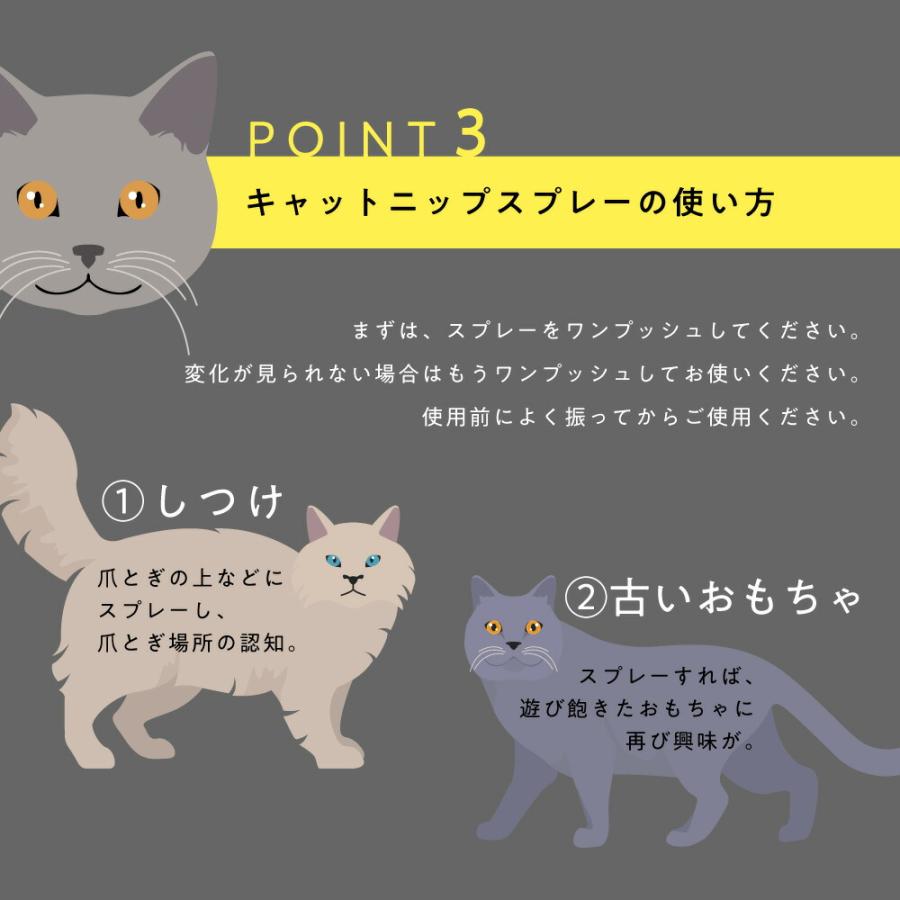 ＆SH SEIYO MATATABI キャットニップ スプレー 100ml ( 西洋またたび