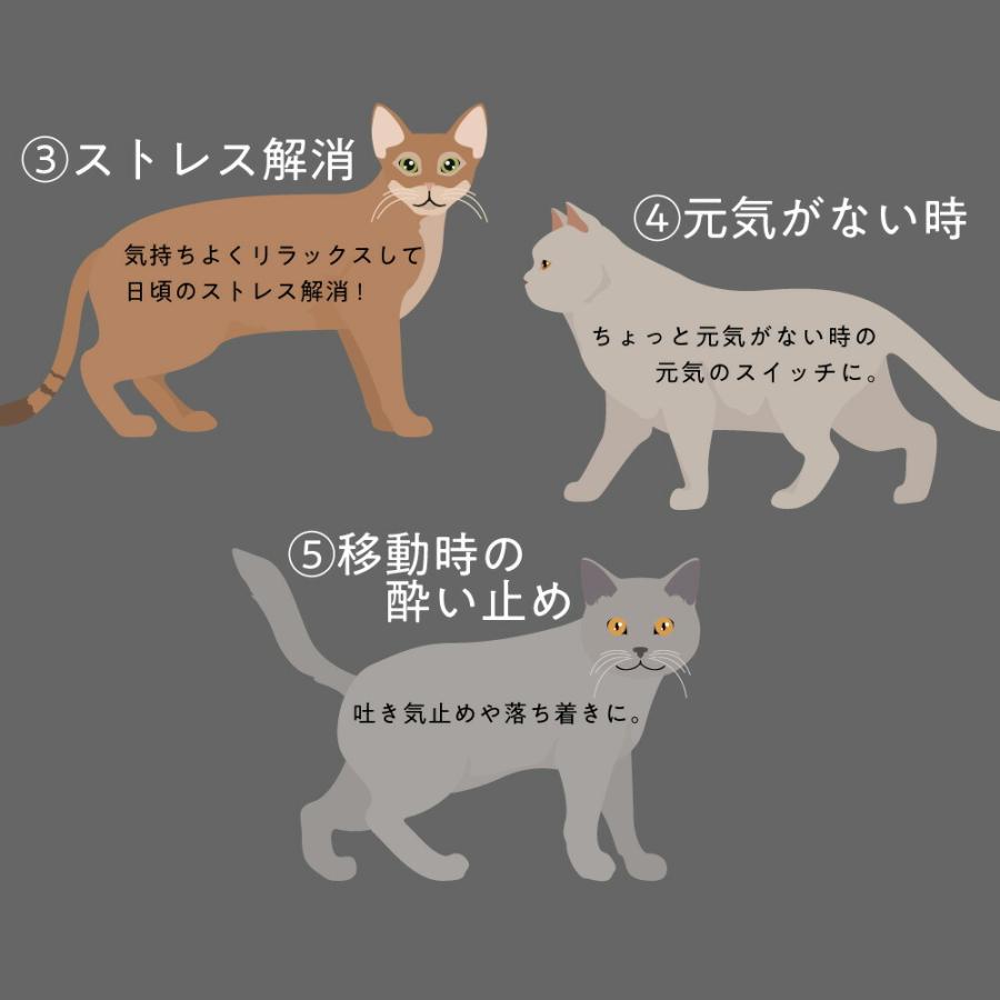 ＆SH SEIYO MATATABI キャットニップ スプレー 100ml ( 西洋またたび