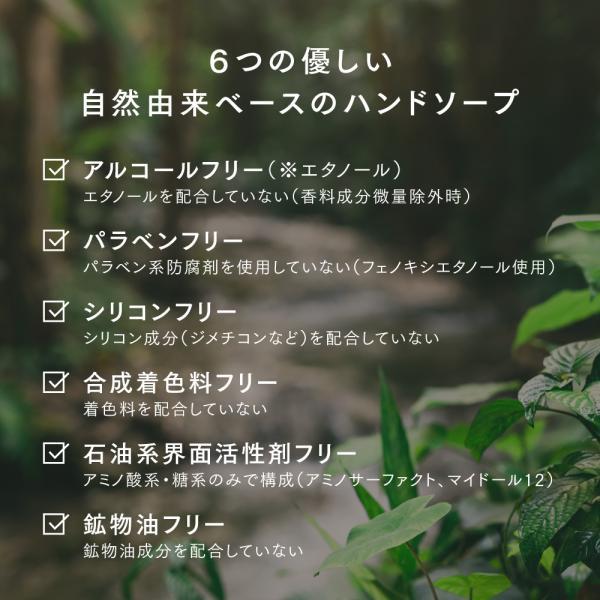 アンドエスエイチ 泡 ハンドソープ 自然由来 植物エキス ビタミン配合