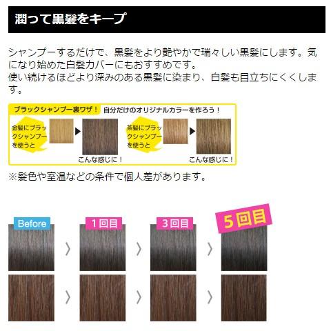 ロイド カラーシャンプー グロッシーブラック 300ml  メーカー公認正規品( 黒 / シャンプー ) - 送料無料 - 北海道・沖縄を除く｜bluechips｜02