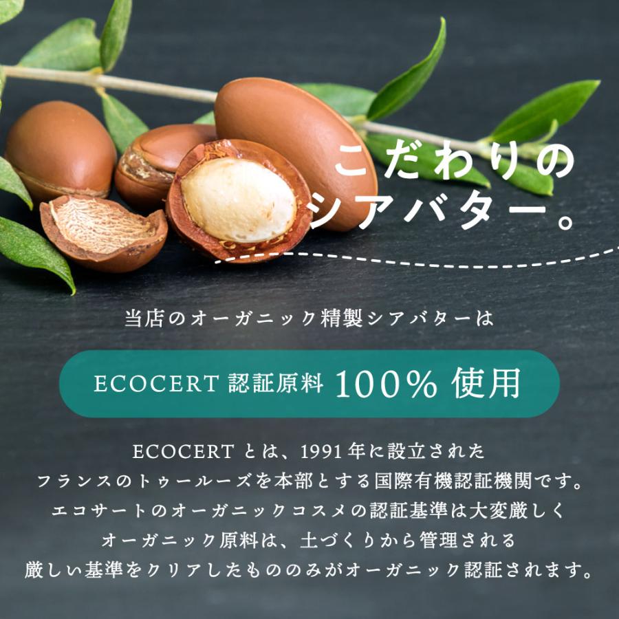 シアバター 精製 500g 詰替え用  [ 髪 顔 効能 保湿 ハンドクリーム ボディーバター 100%ピュア オーガニック エコサート認証 原料 使用 専用ジャー付 ]+lt3+｜bluechips｜04