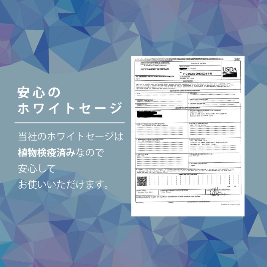 アンドエスエイチ ホワイトセージ 浄化用 カリフォルニア産 50g 2個