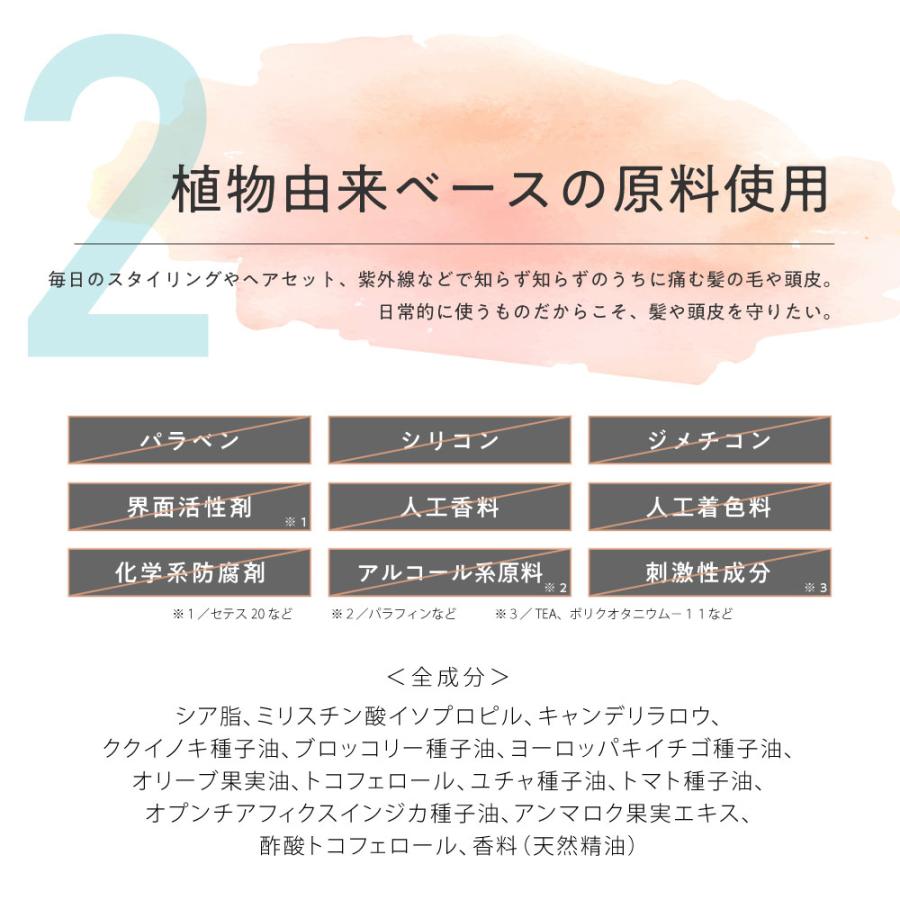 アンドエスエイチ ヘアワックス レディース 無香料 香料 微香料 NTHB