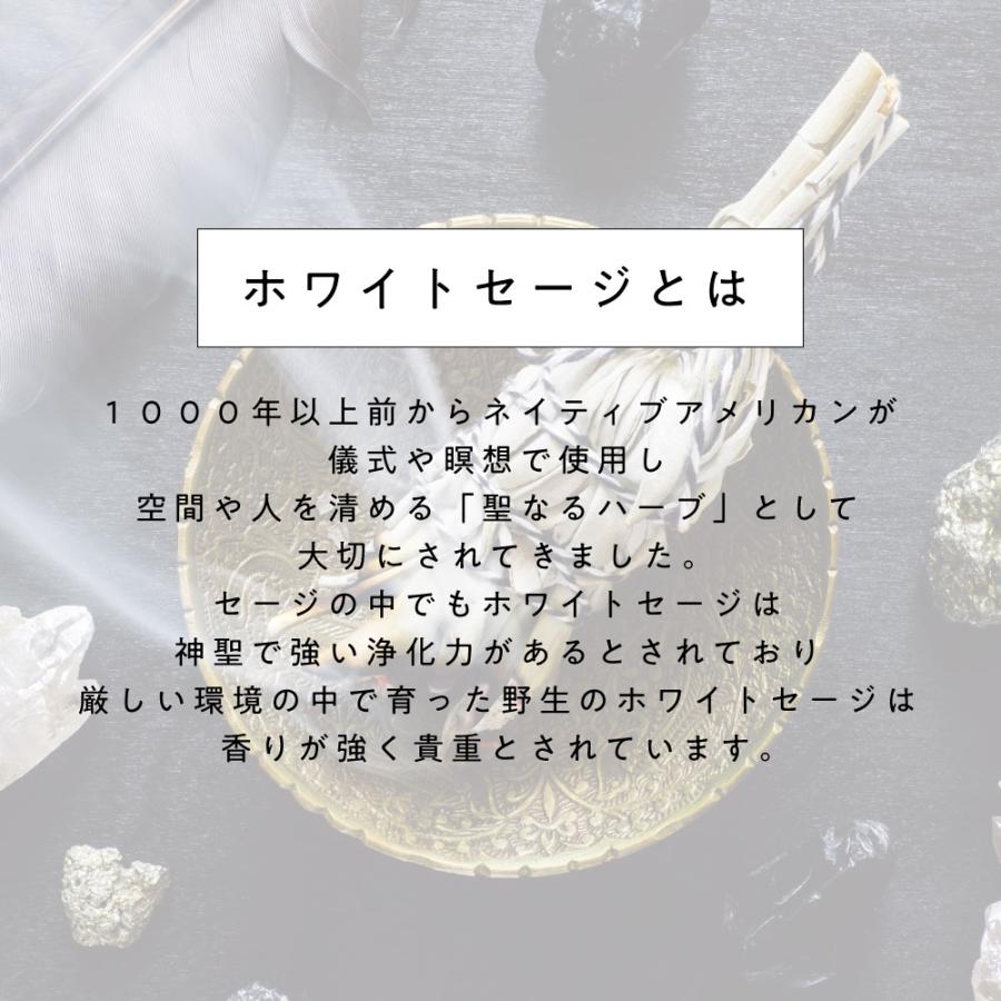 アンドエスエイチ ホワイトセージ カリフォルニア産 直輸入 無 アンドエスエイチ ホワイトセージ カリフォルニア産 直輸入 無