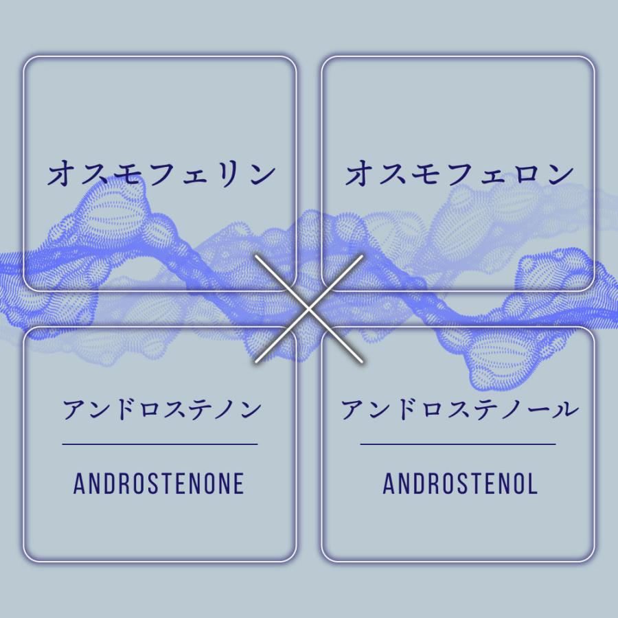 アンドエスエイチ 人を引き寄せる フェロモン香水 モテ香水 &SH efu+
