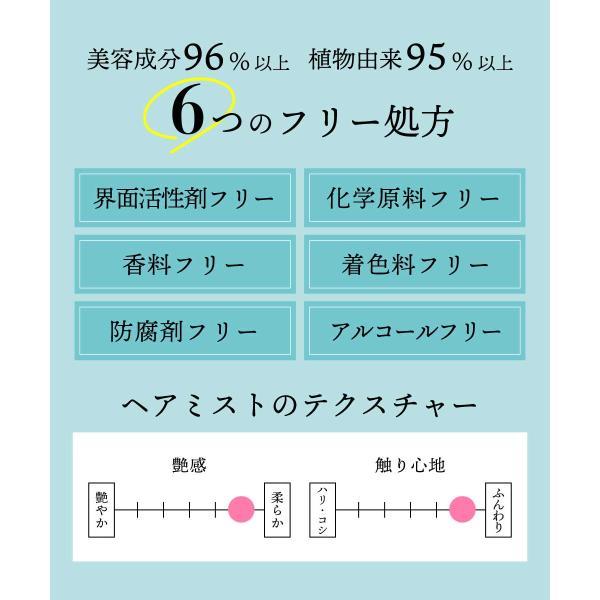 洗い流さないトリートメント / &SH ヘアミスト & トリートメント サラカミ 100ml / アウトリートメント ミスト 保湿 +lt3+ | アンドエスエイチ | 09