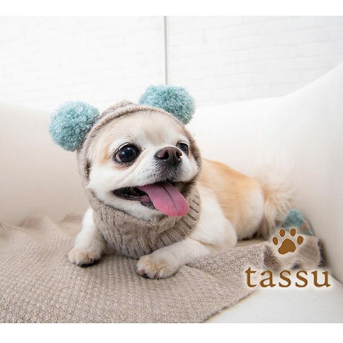 犬 ボンボン付きニット帽 犬用帽子 ドッグウェア リーニット tassu