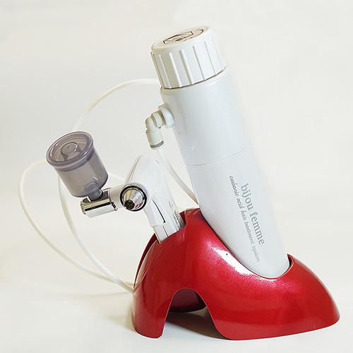 ビジューファムフォードッグス bijou femme for Dogs