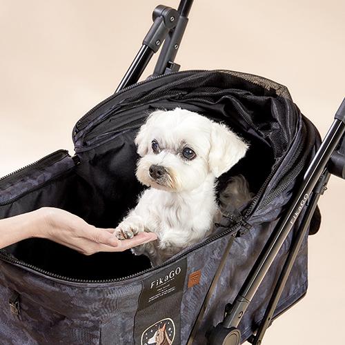 FREE TO GO（フリー トゥ ゴー） デニム 台湾 : BESTWEAR - 通販