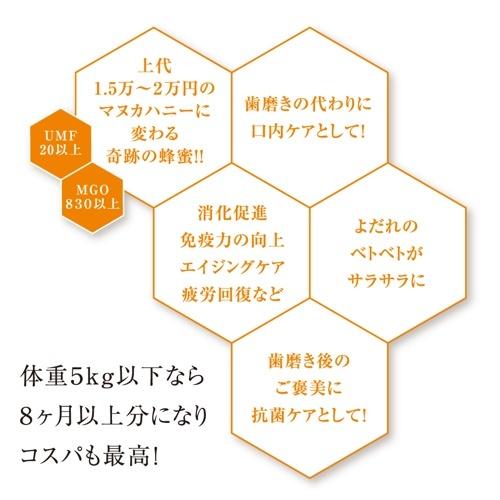 PRINCESS HONEY 250g トルコ : BESTWEAR - 通販 - Yahoo!ショッピング