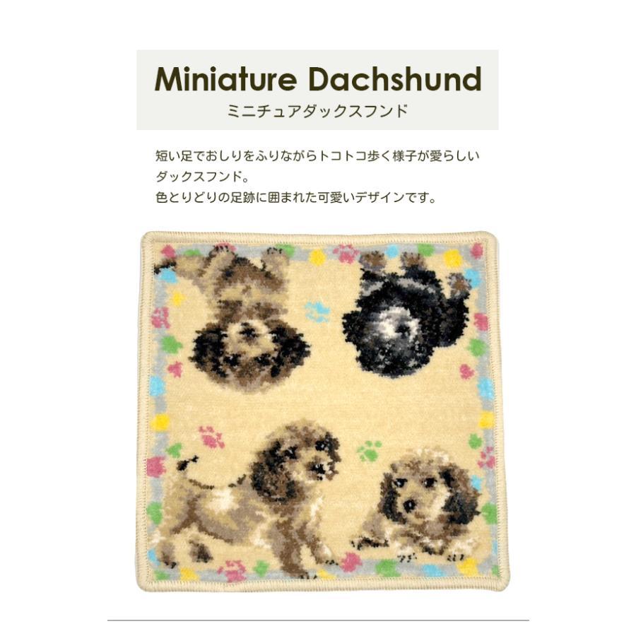 新柄追加 シェニール織 タオルハンカチ 日本製 綿100％ 犬 愛犬 わん